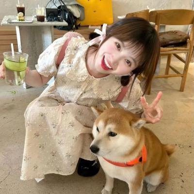 简讯爱情 海报